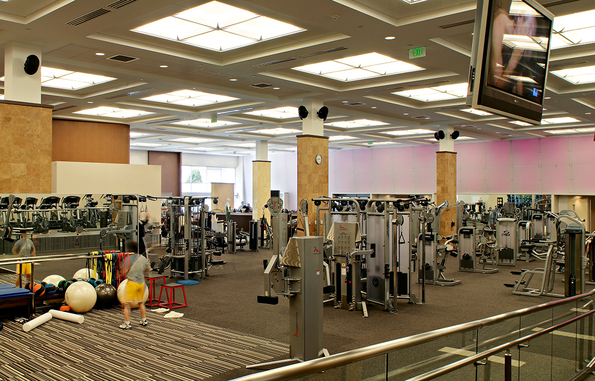 The GYM